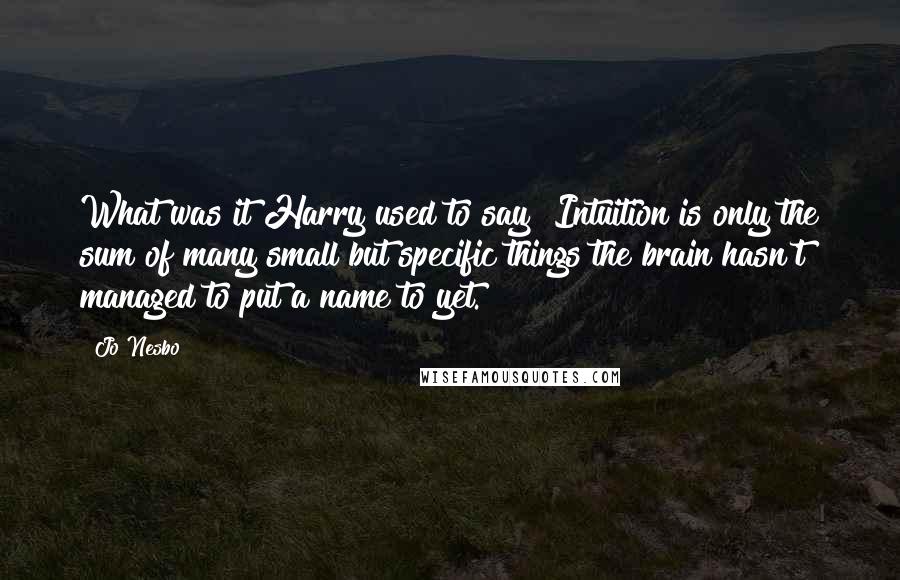 Jo Nesbo Quotes: What was it Harry used to say? Intuition is only the sum of many small but specific things the brain hasn't managed to put a name to yet.