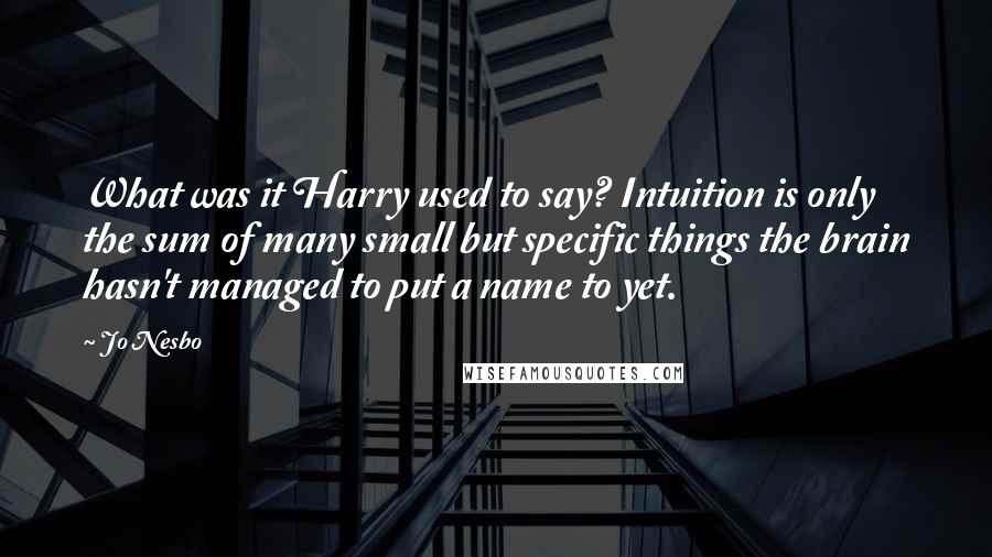 Jo Nesbo Quotes: What was it Harry used to say? Intuition is only the sum of many small but specific things the brain hasn't managed to put a name to yet.