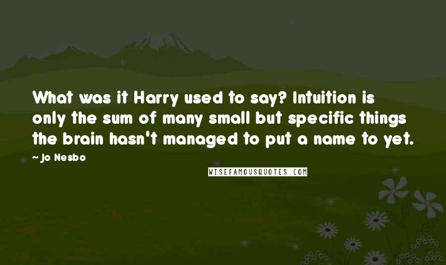 Jo Nesbo Quotes: What was it Harry used to say? Intuition is only the sum of many small but specific things the brain hasn't managed to put a name to yet.