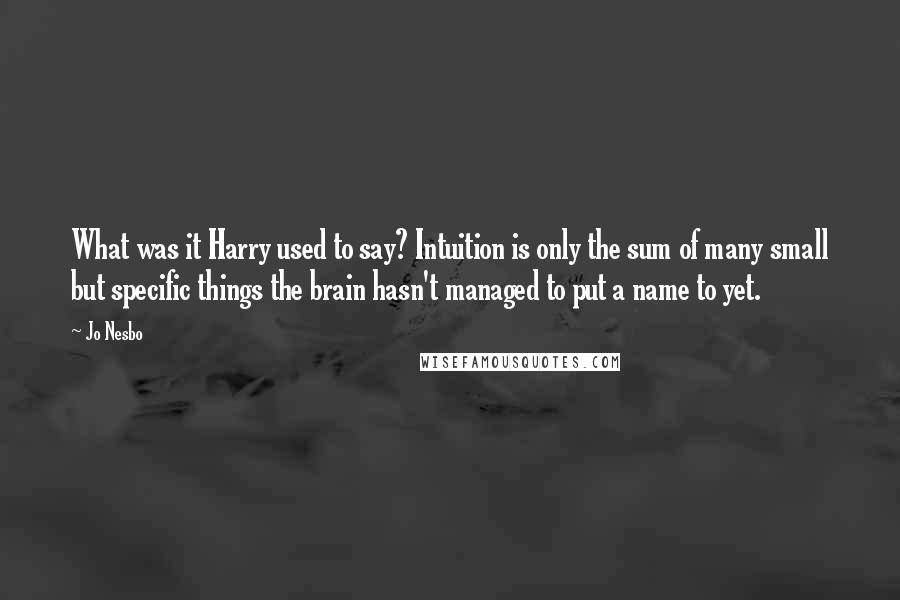 Jo Nesbo Quotes: What was it Harry used to say? Intuition is only the sum of many small but specific things the brain hasn't managed to put a name to yet.