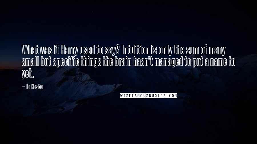 Jo Nesbo Quotes: What was it Harry used to say? Intuition is only the sum of many small but specific things the brain hasn't managed to put a name to yet.