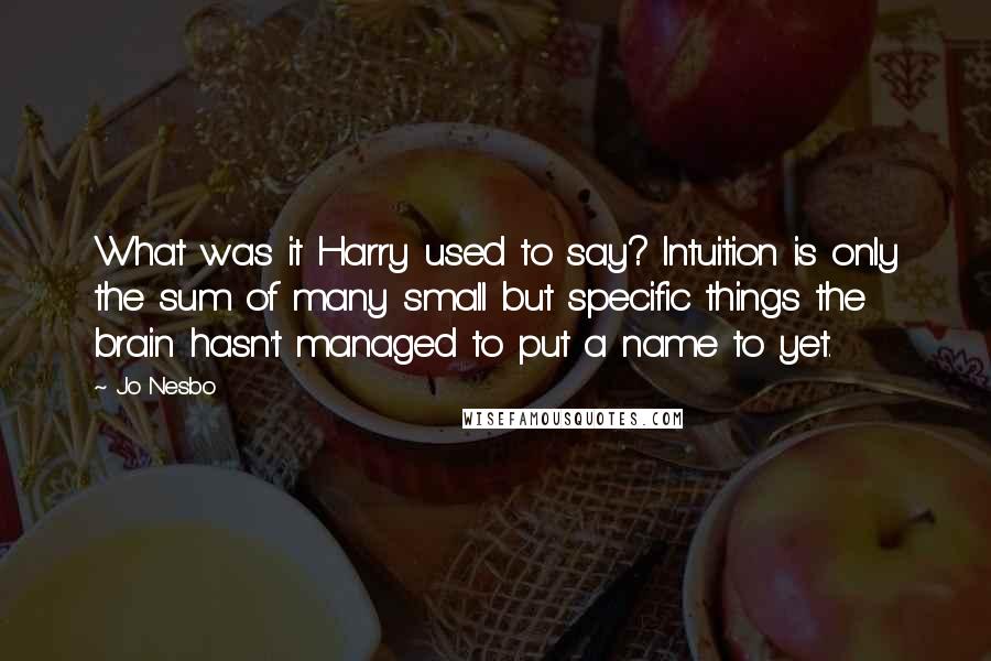 Jo Nesbo Quotes: What was it Harry used to say? Intuition is only the sum of many small but specific things the brain hasn't managed to put a name to yet.