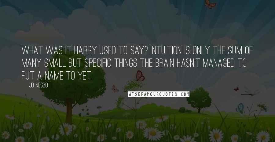 Jo Nesbo Quotes: What was it Harry used to say? Intuition is only the sum of many small but specific things the brain hasn't managed to put a name to yet.