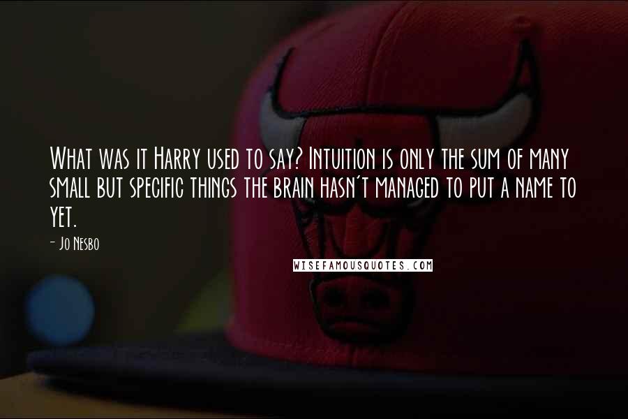Jo Nesbo Quotes: What was it Harry used to say? Intuition is only the sum of many small but specific things the brain hasn't managed to put a name to yet.