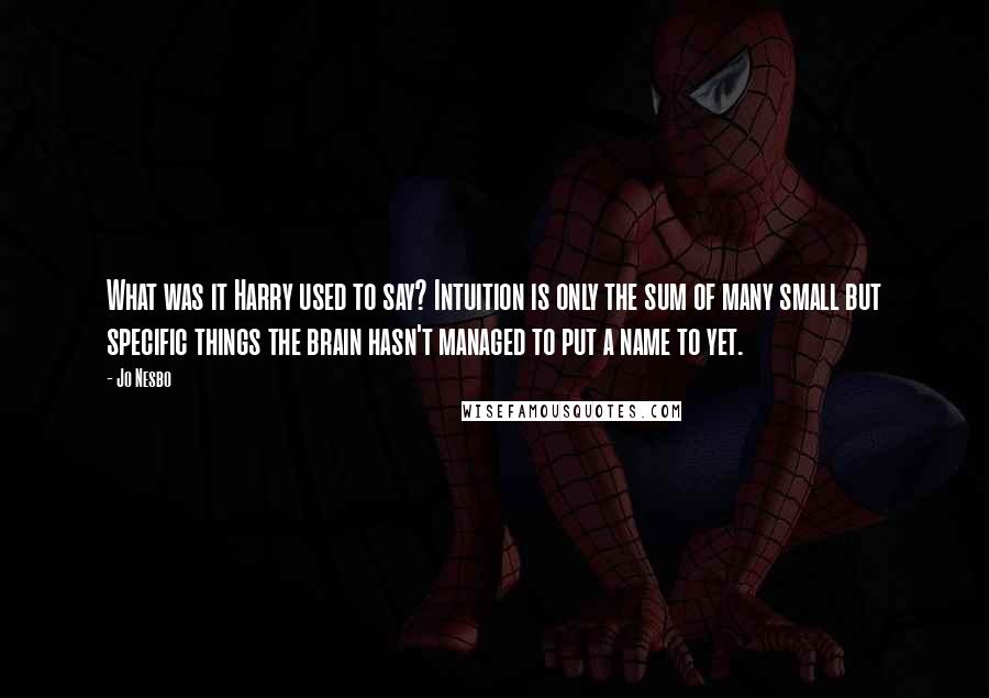 Jo Nesbo Quotes: What was it Harry used to say? Intuition is only the sum of many small but specific things the brain hasn't managed to put a name to yet.