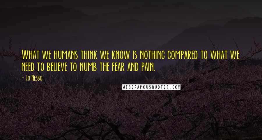 Jo Nesbo Quotes: What we humans think we know is nothing compared to what we need to believe to numb the fear and pain.