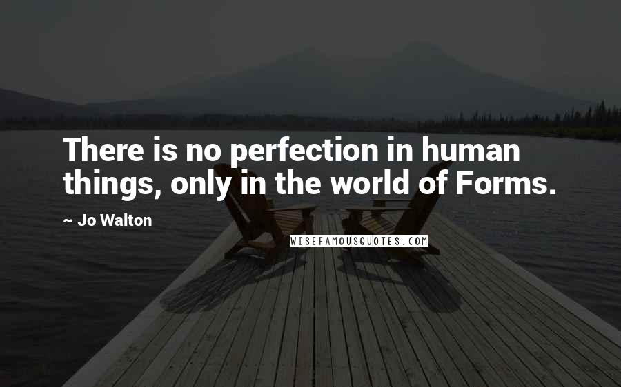 Jo Walton Quotes: There is no perfection in human things, only in the world of Forms.