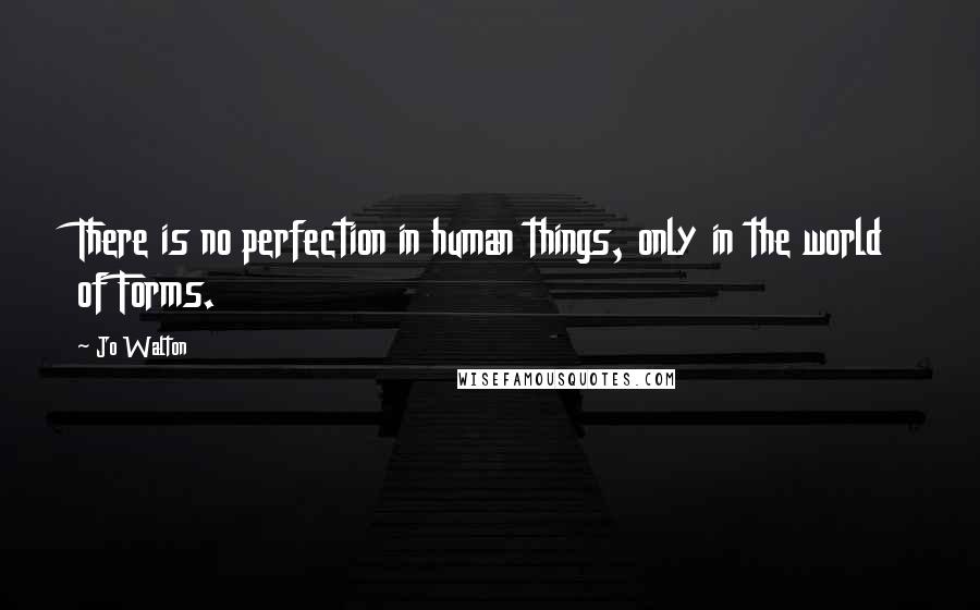 Jo Walton Quotes: There is no perfection in human things, only in the world of Forms.