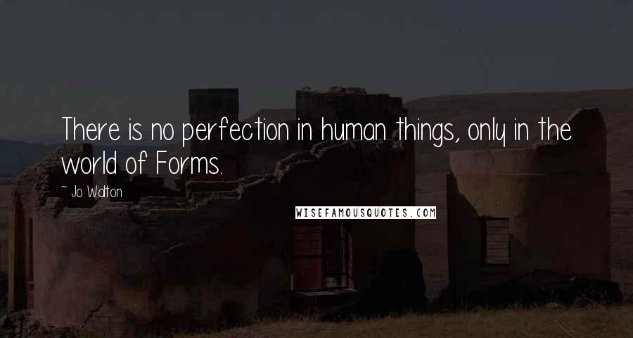 Jo Walton Quotes: There is no perfection in human things, only in the world of Forms.