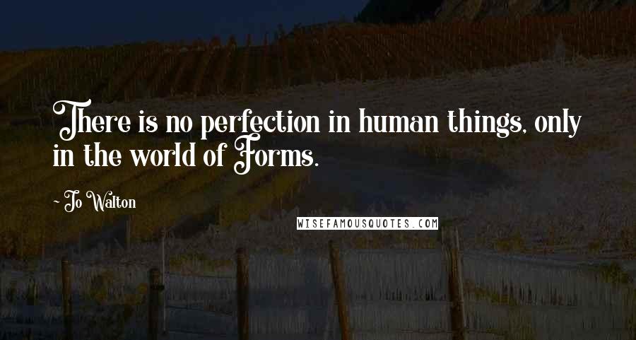Jo Walton Quotes: There is no perfection in human things, only in the world of Forms.