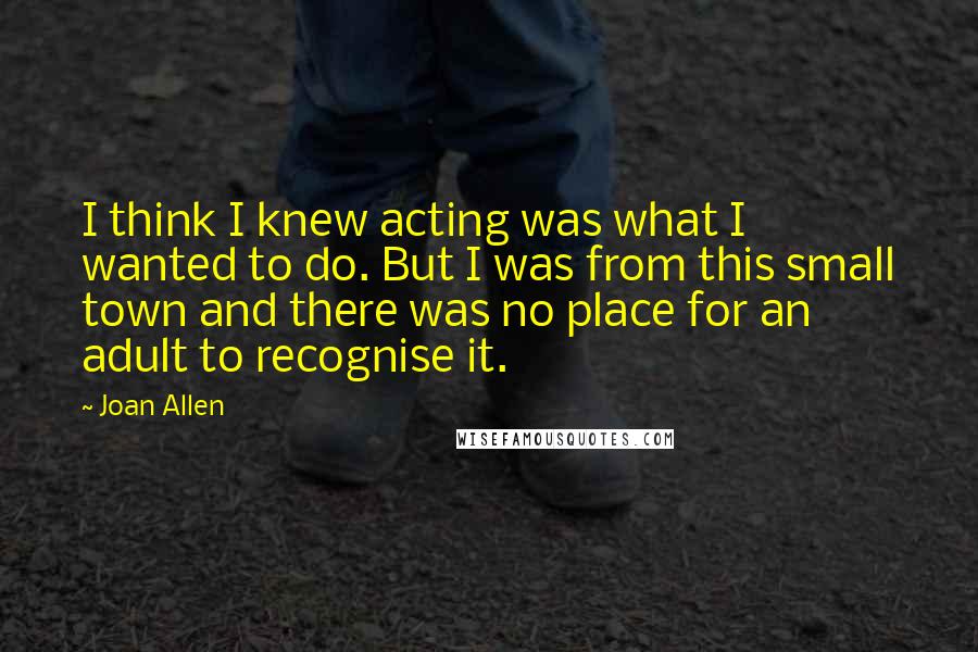 Joan Allen Quotes: I think I knew acting was what I wanted to do. But I was from this small town and there was no place for an adult to recognise it.