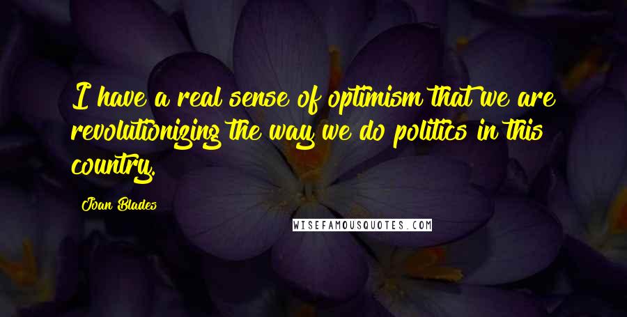 Joan Blades Quotes: I have a real sense of optimism that we are revolutionizing the way we do politics in this country.