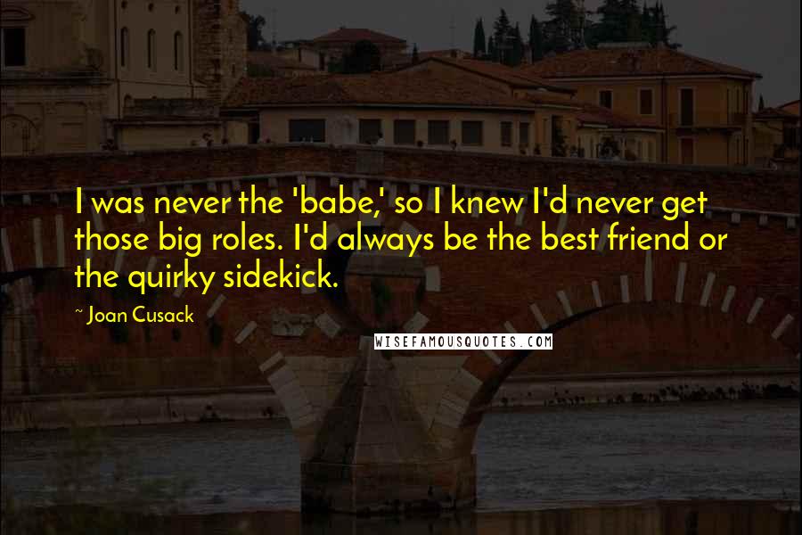 Joan Cusack Quotes: I was never the 'babe,' so I knew I'd never get those big roles. I'd always be the best friend or the quirky sidekick.