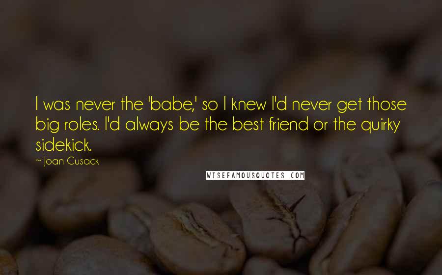 Joan Cusack Quotes: I was never the 'babe,' so I knew I'd never get those big roles. I'd always be the best friend or the quirky sidekick.