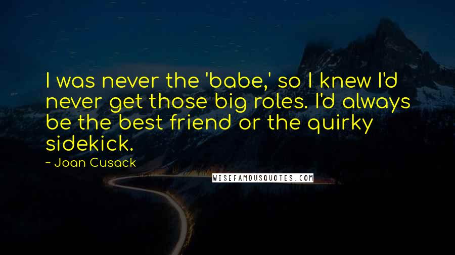 Joan Cusack Quotes: I was never the 'babe,' so I knew I'd never get those big roles. I'd always be the best friend or the quirky sidekick.