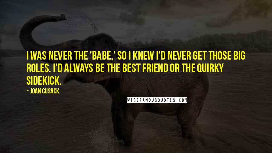 Joan Cusack Quotes: I was never the 'babe,' so I knew I'd never get those big roles. I'd always be the best friend or the quirky sidekick.