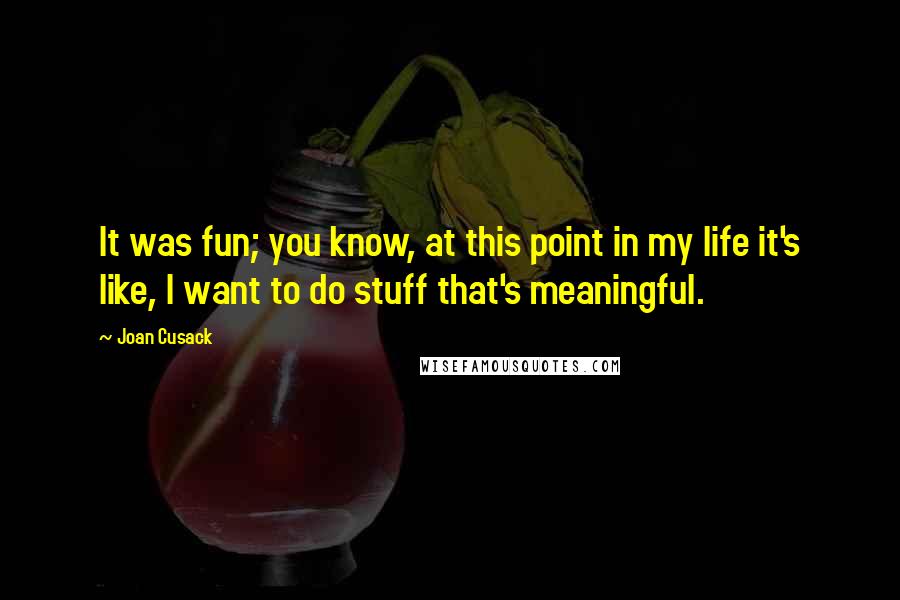 Joan Cusack Quotes: It was fun; you know, at this point in my life it's like, I want to do stuff that's meaningful.