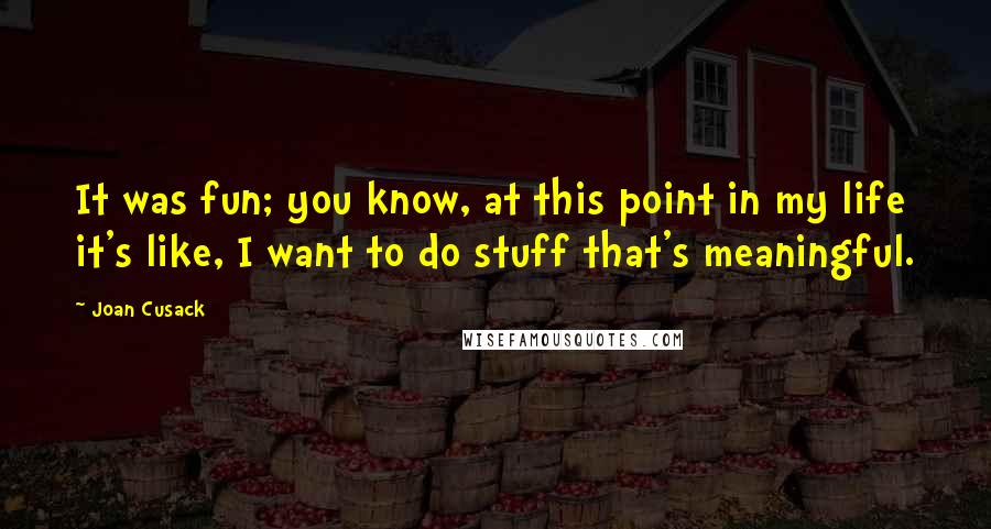 Joan Cusack Quotes: It was fun; you know, at this point in my life it's like, I want to do stuff that's meaningful.