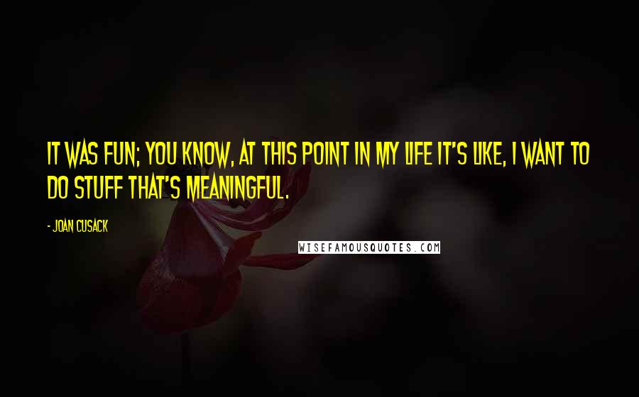 Joan Cusack Quotes: It was fun; you know, at this point in my life it's like, I want to do stuff that's meaningful.