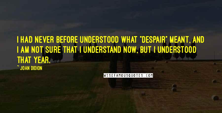 Joan Didion Quotes: I had never before understood what "despair" meant, and I am not sure that I understand now, but I understood that year.