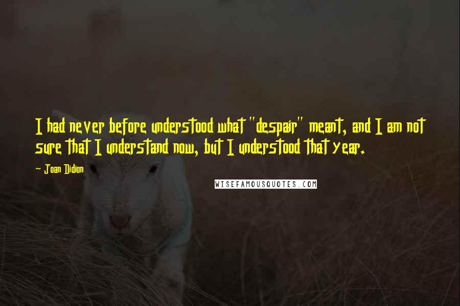 Joan Didion Quotes: I had never before understood what "despair" meant, and I am not sure that I understand now, but I understood that year.