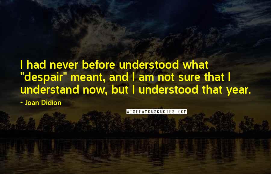 Joan Didion Quotes: I had never before understood what "despair" meant, and I am not sure that I understand now, but I understood that year.