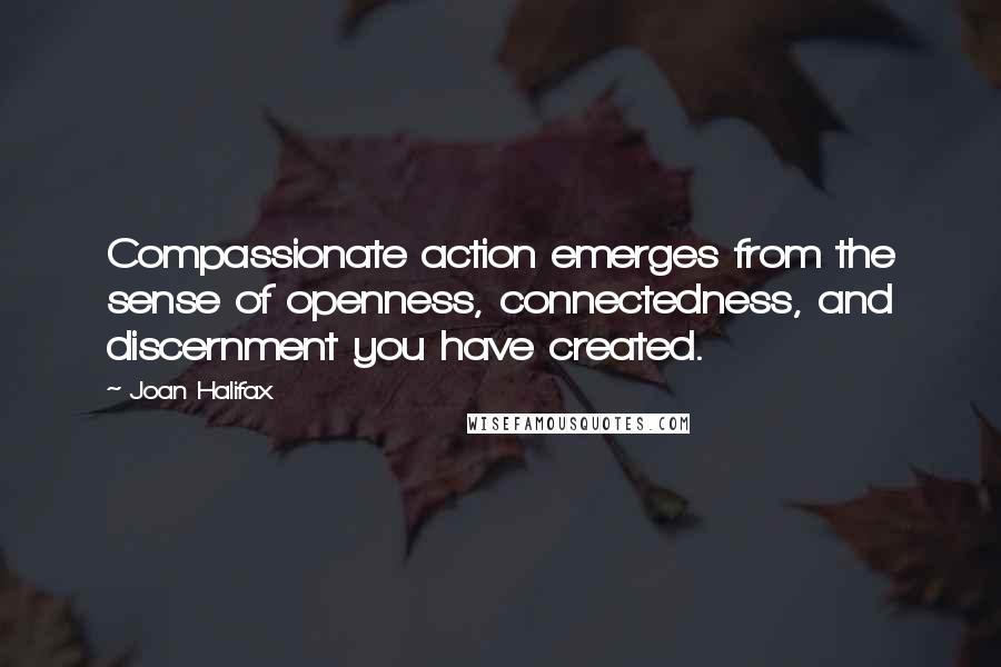 Joan Halifax Quotes: Compassionate action emerges from the sense of openness, connectedness, and discernment you have created.