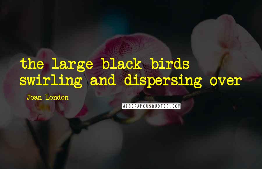 Joan London Quotes: the large black birds swirling and dispersing over