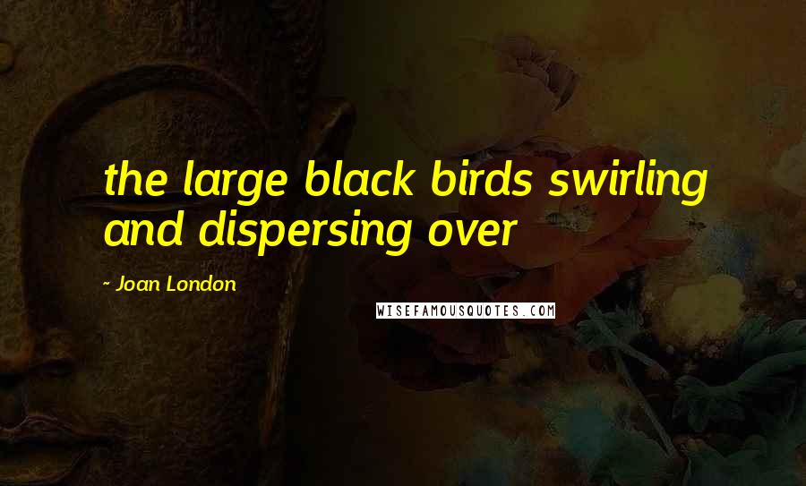 Joan London Quotes: the large black birds swirling and dispersing over