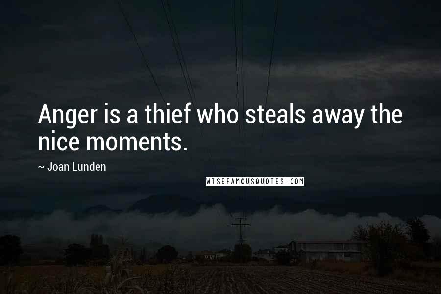 Joan Lunden Quotes: Anger is a thief who steals away the nice moments.
