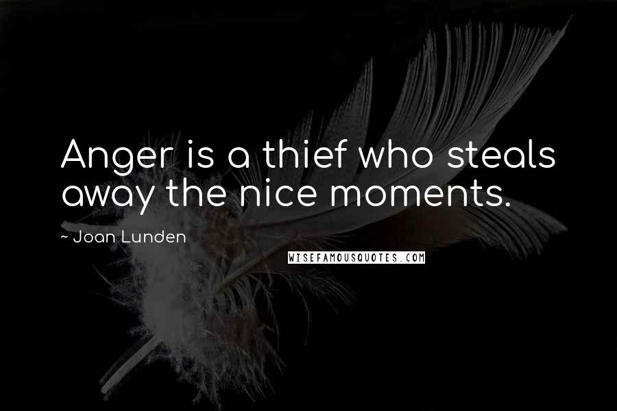 Joan Lunden Quotes: Anger is a thief who steals away the nice moments.