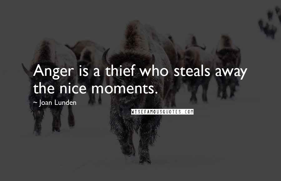 Joan Lunden Quotes: Anger is a thief who steals away the nice moments.