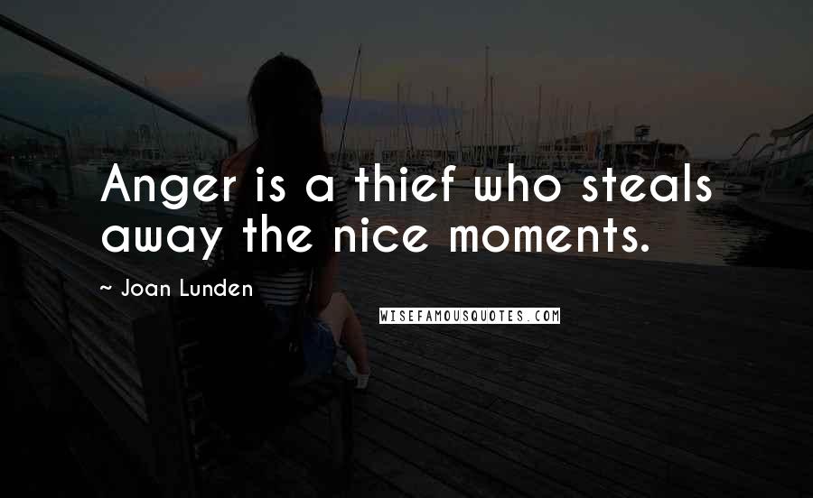 Joan Lunden Quotes: Anger is a thief who steals away the nice moments.