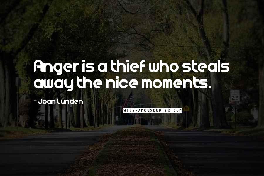 Joan Lunden Quotes: Anger is a thief who steals away the nice moments.