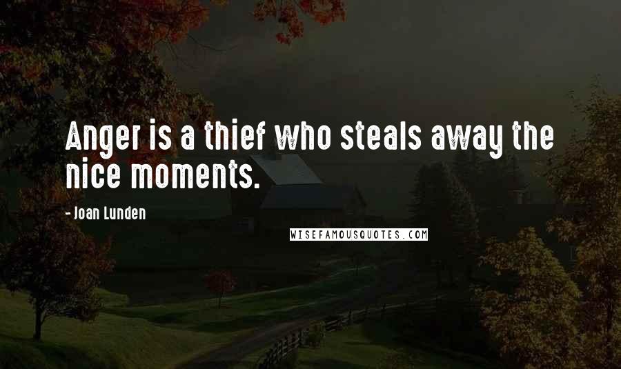 Joan Lunden Quotes: Anger is a thief who steals away the nice moments.