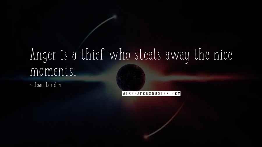 Joan Lunden Quotes: Anger is a thief who steals away the nice moments.