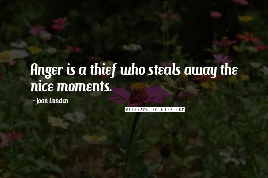 Joan Lunden Quotes: Anger is a thief who steals away the nice moments.