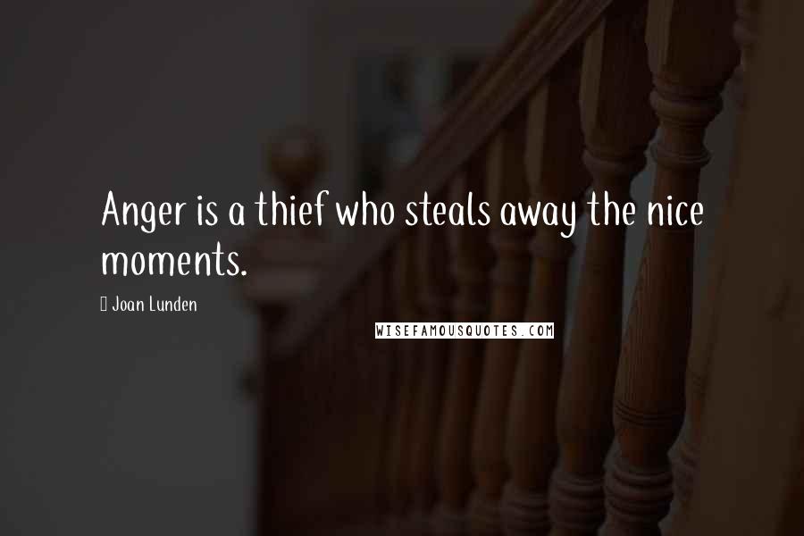 Joan Lunden Quotes: Anger is a thief who steals away the nice moments.