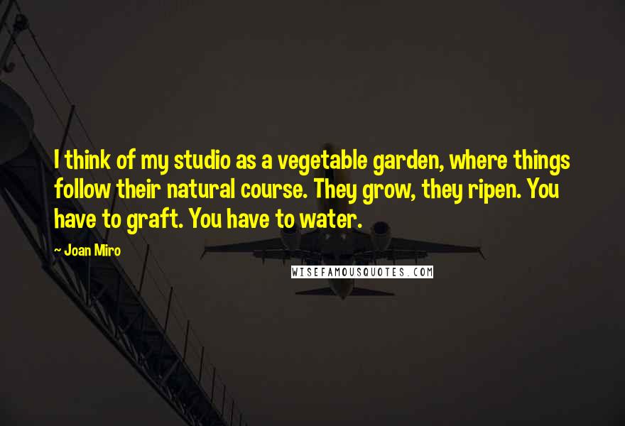 Joan Miro Quotes: I think of my studio as a vegetable garden, where things follow their natural course. They grow, they ripen. You have to graft. You have to water.