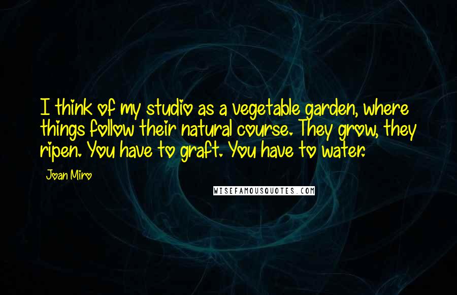 Joan Miro Quotes: I think of my studio as a vegetable garden, where things follow their natural course. They grow, they ripen. You have to graft. You have to water.