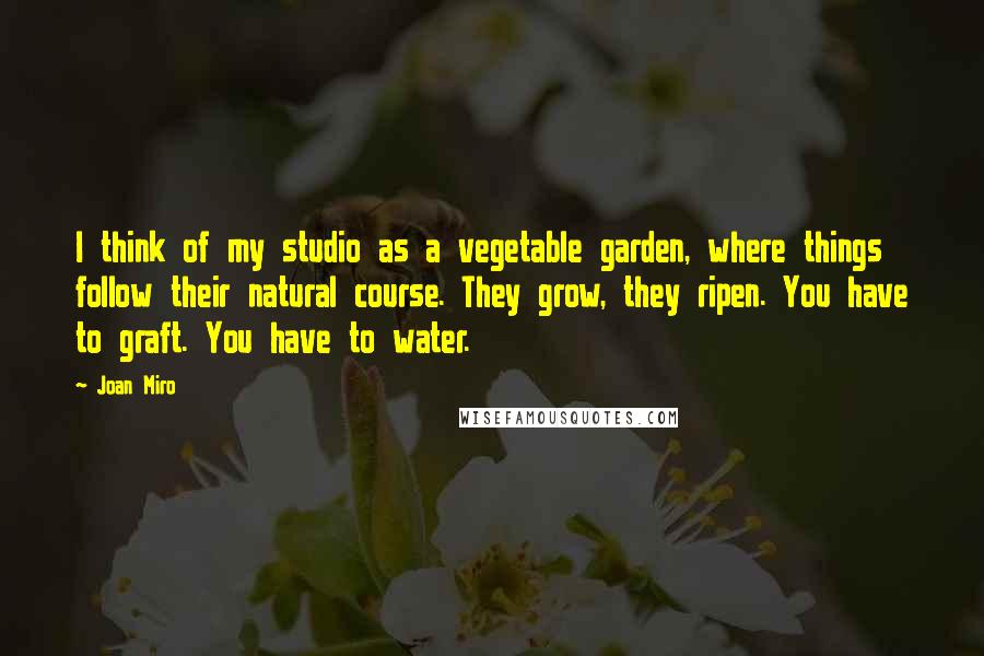 Joan Miro Quotes: I think of my studio as a vegetable garden, where things follow their natural course. They grow, they ripen. You have to graft. You have to water.