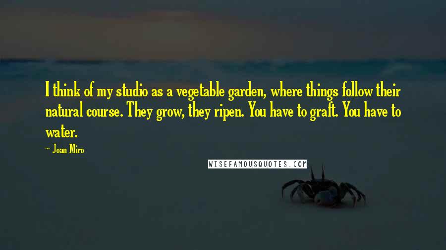 Joan Miro Quotes: I think of my studio as a vegetable garden, where things follow their natural course. They grow, they ripen. You have to graft. You have to water.