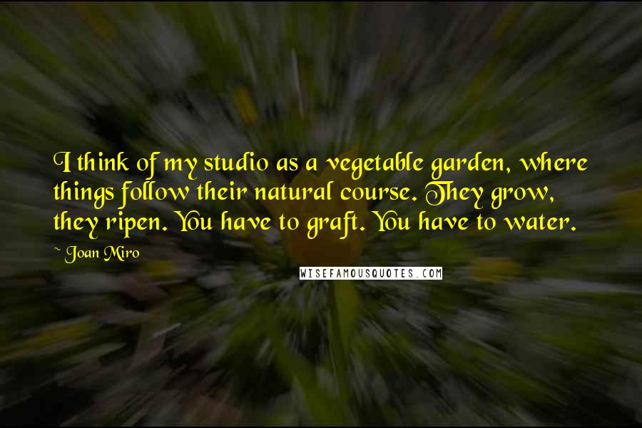 Joan Miro Quotes: I think of my studio as a vegetable garden, where things follow their natural course. They grow, they ripen. You have to graft. You have to water.