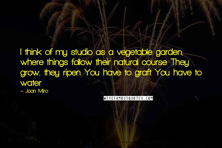 Joan Miro Quotes: I think of my studio as a vegetable garden, where things follow their natural course. They grow, they ripen. You have to graft. You have to water.