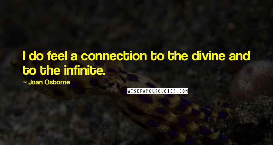 Joan Osborne Quotes: I do feel a connection to the divine and to the infinite.