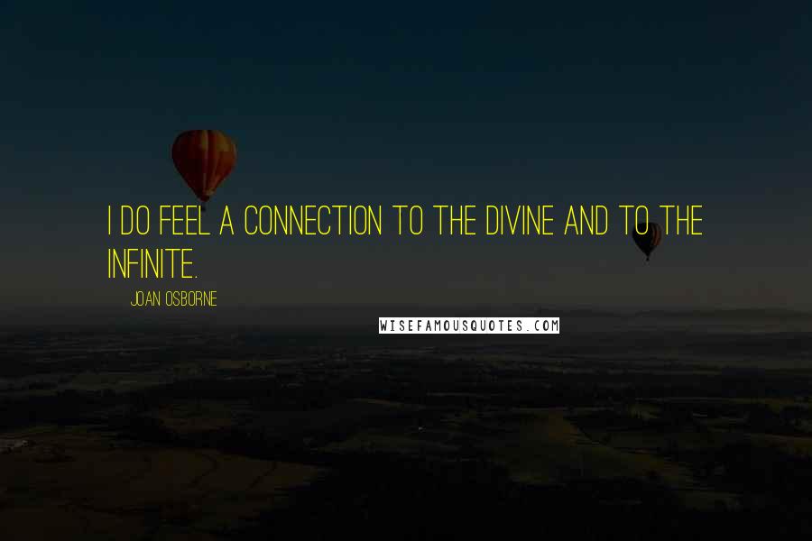 Joan Osborne Quotes: I do feel a connection to the divine and to the infinite.