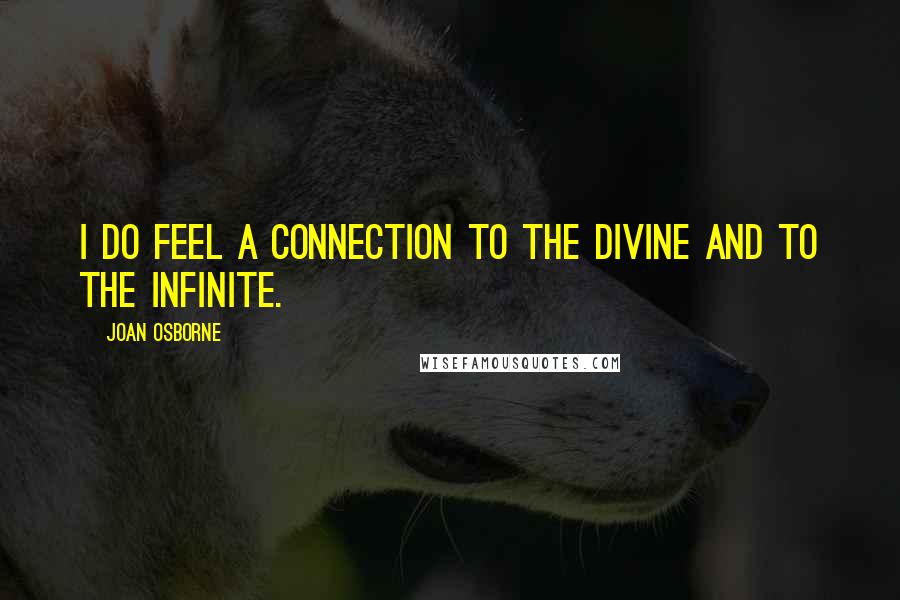 Joan Osborne Quotes: I do feel a connection to the divine and to the infinite.