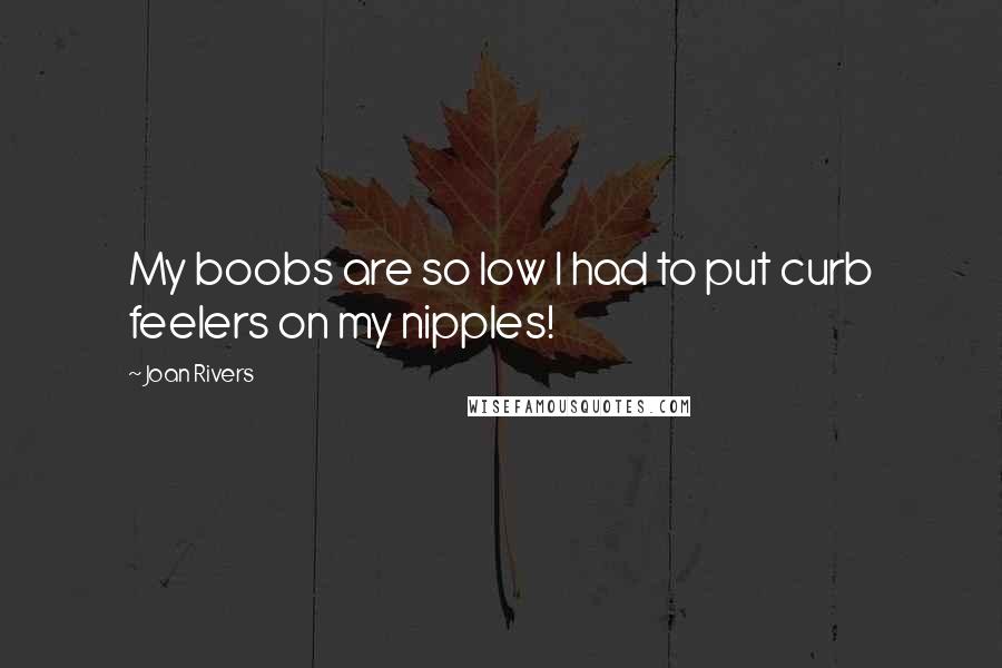 Joan Rivers Quotes: My boobs are so low I had to put curb feelers on my nipples!