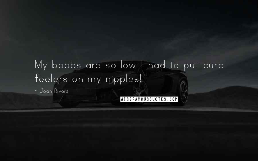 Joan Rivers Quotes: My boobs are so low I had to put curb feelers on my nipples!