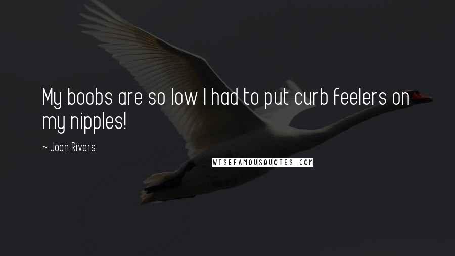Joan Rivers Quotes: My boobs are so low I had to put curb feelers on my nipples!